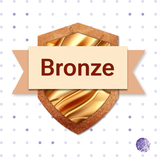 Audit & Fix Bronze Package