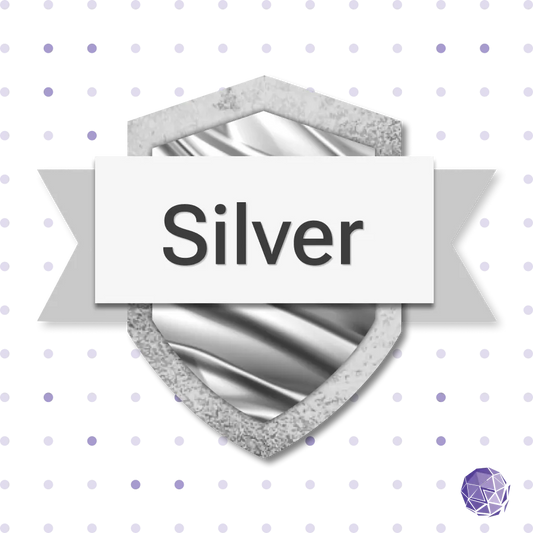 Audit & Fix Silver Package